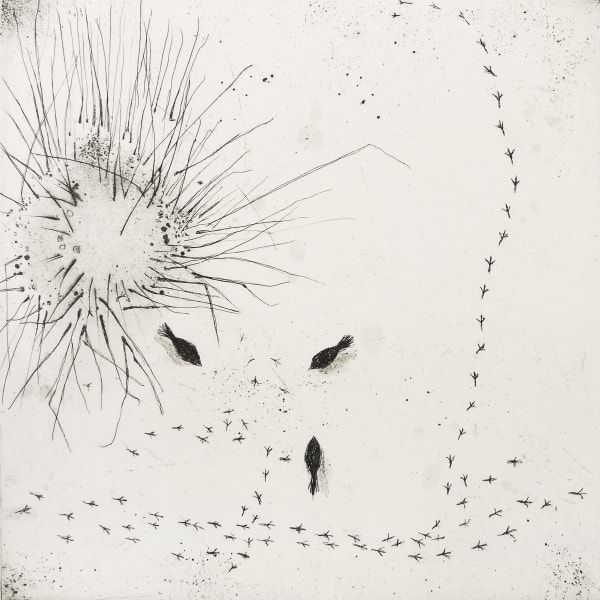 Fiona Watson, Feeding Birds In Winter