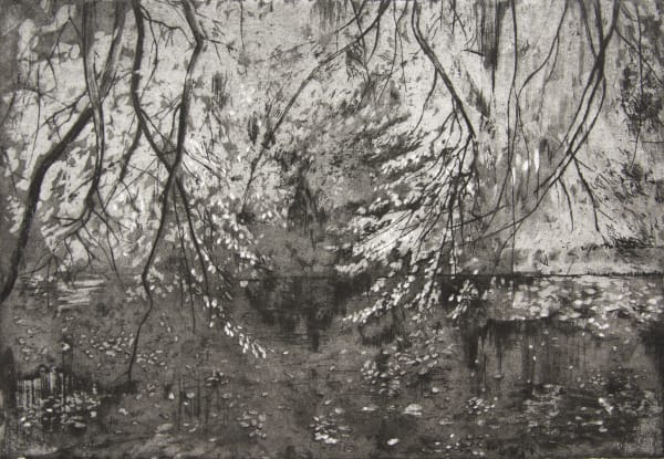 Calum McClure, Katsura, Benmore, 2015
