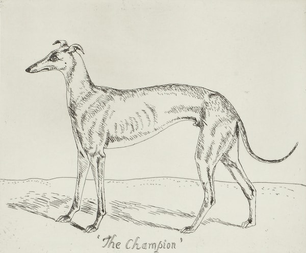 Elizabeth Blackadder, The Champion, 1995