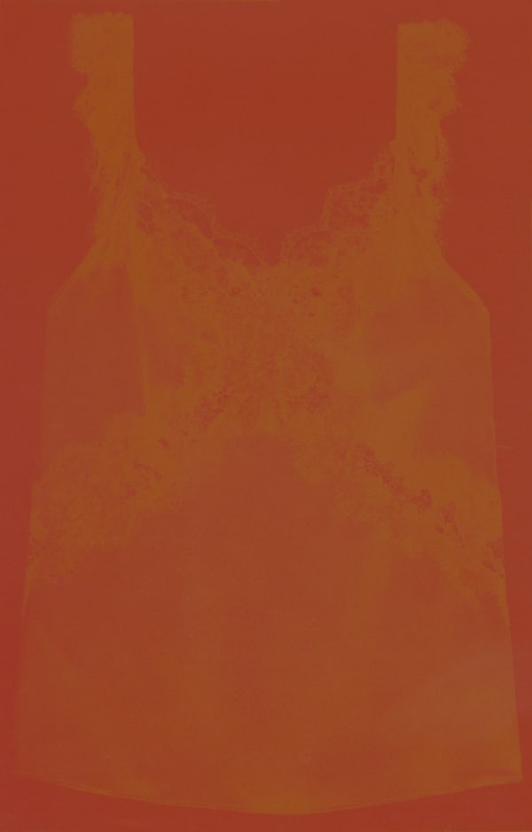 Andrea Cardow, Fading in the Setting Sun, 2025