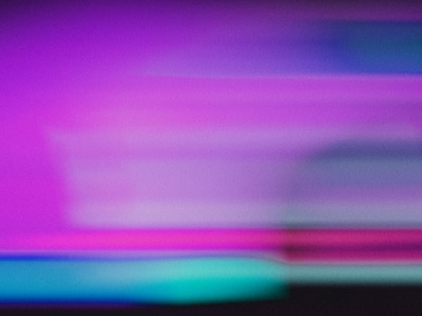 Anne Hamilton & Nikolay Georgiev, Untitled, 2025