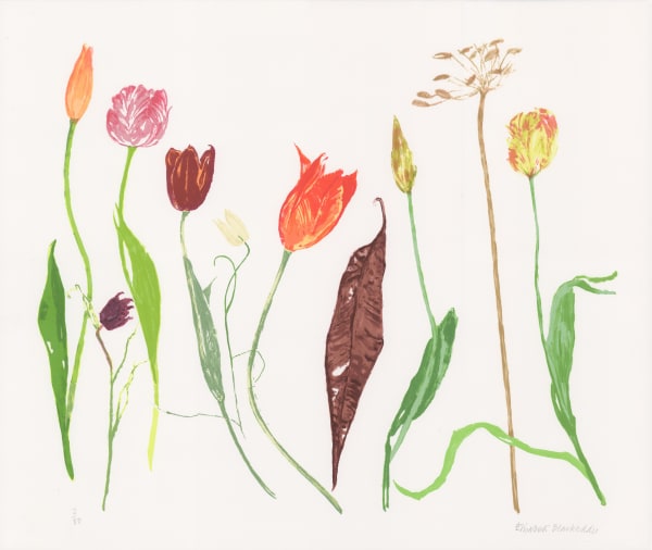 Elizabeth Blackadder, Tulips, 2012