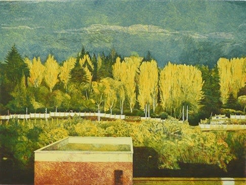 Clara Gangutia, Madrid, 1990