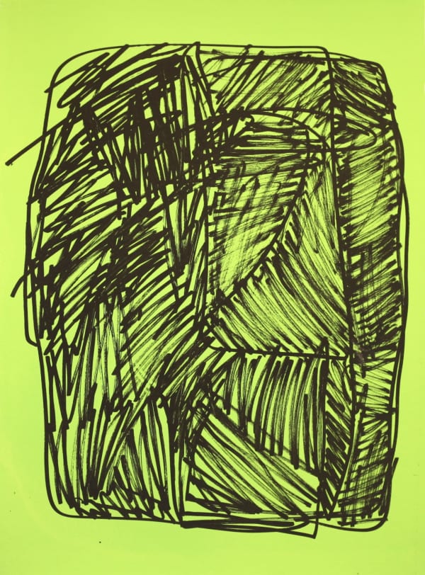 Two-Step: Beth Shapeero & Fraser Taylor, Scribble 9, 2019