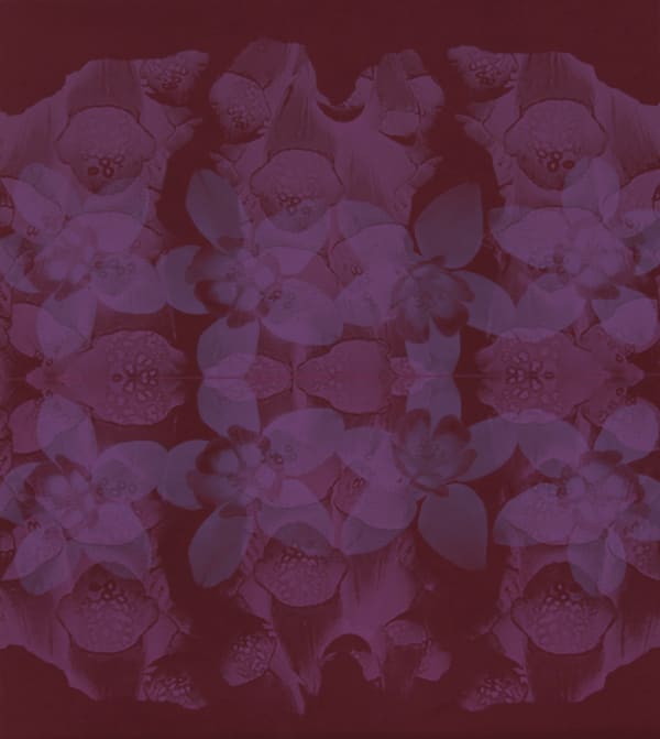 Andrea Cardow, Echoes in Skye, 2024