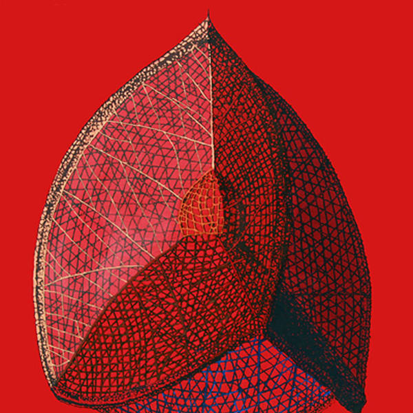 Sam Ainsley, Untitled (Homage to D'Arcy Thompson), 2011
