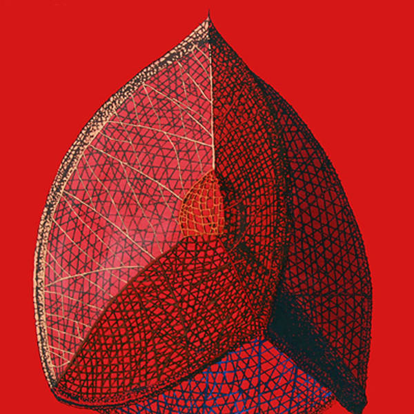 Sam Ainsley - Untitled (Homage to D'Arcy Thompson), 2011