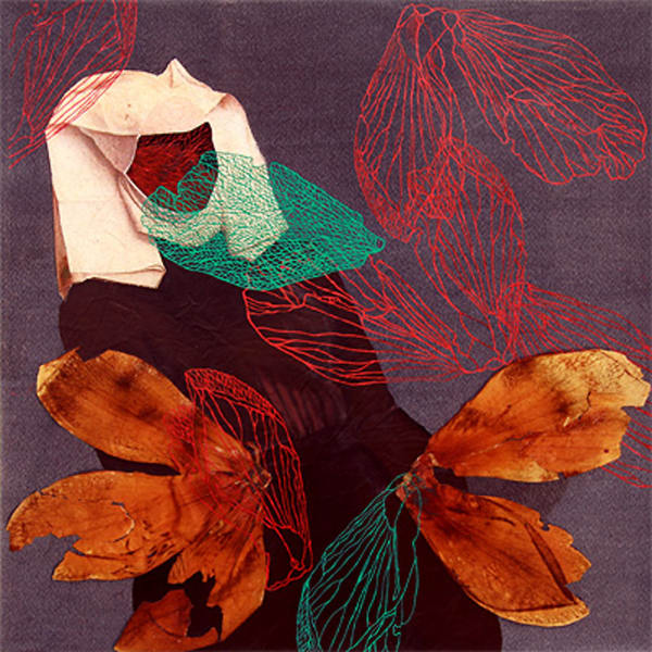 Sam Ainsley, (Untitled) Skeleton Leaves, 2011