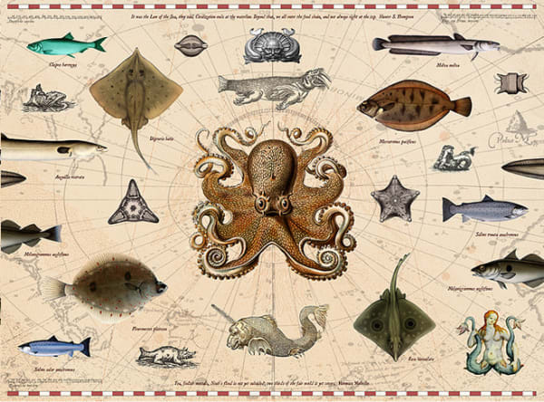 Murray Robertson, Law of the Sea II, 2011