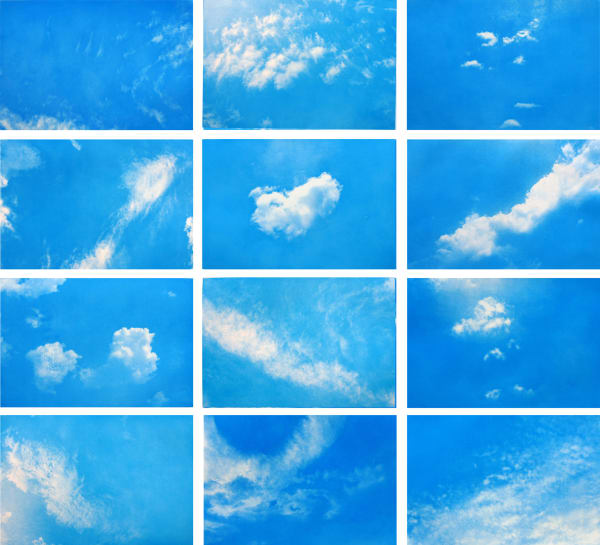 Rohini Devasher, Always take the weather with you, 2014