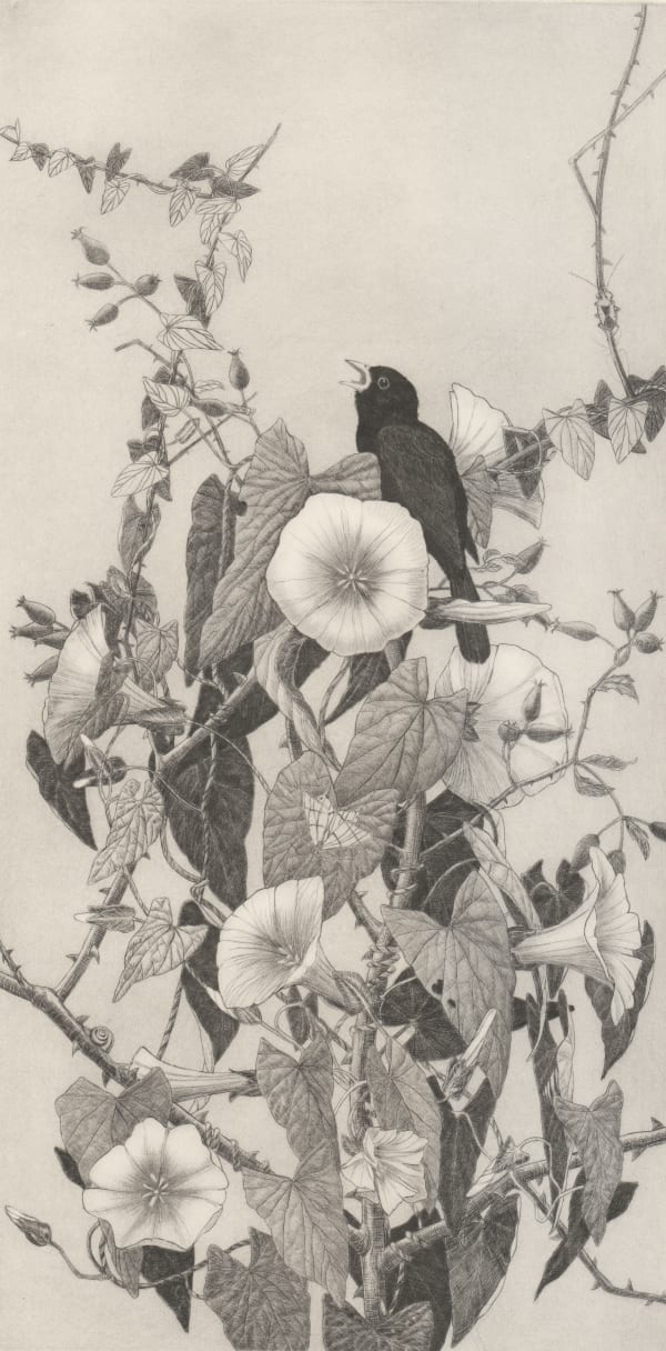Chris Allan, The Blackbird: State II, 2018
