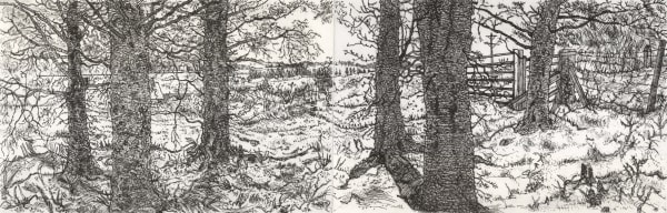 Fiona MacKinnon, Moorhen's Nest, 2025