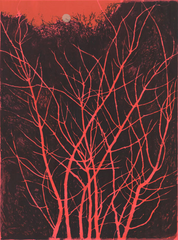 Victoria Crowe, Coral Bark Maple, Wolf Moon, 2022
