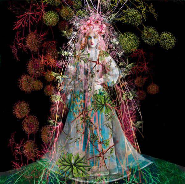 Ashley Cook, Wild Things, 2023
