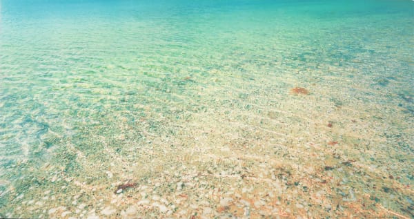 John Mackechnie, Lochaber Shore, 2020