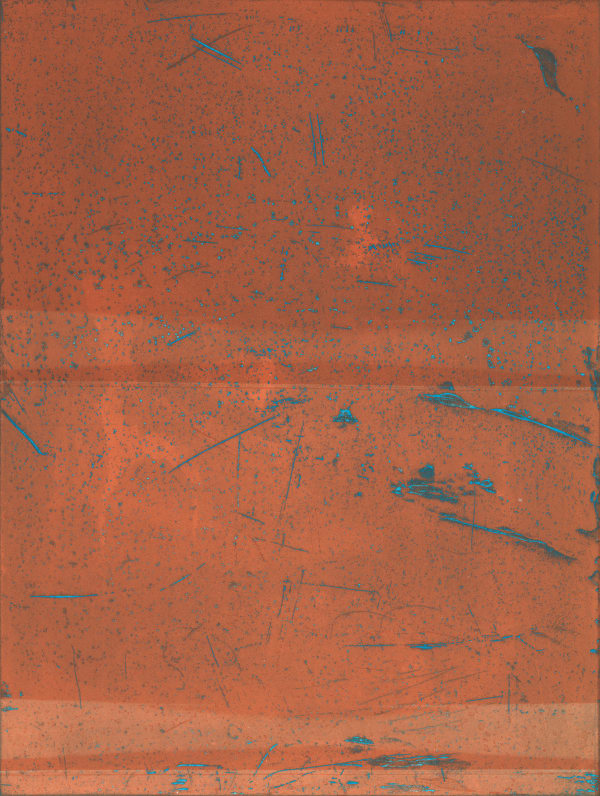 Maya McMahon-Boon, Nasturtium Yellow Over Blue, 2024