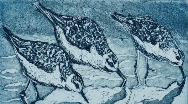 Zoë Kean, Sanderlings I, 2018