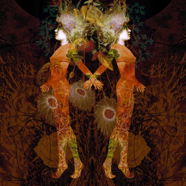 Ashley Cook, Entangled, 2021