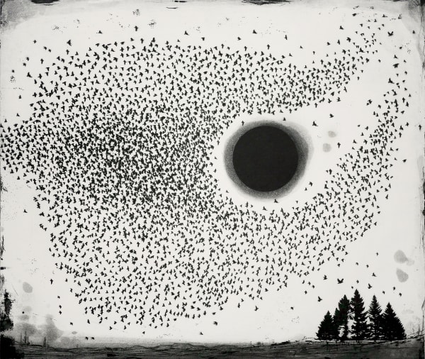 Fiona Watson, Dark Sun Murmuration, 2019