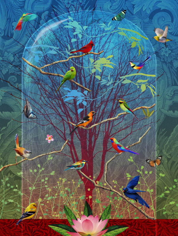 Fiona Watson, Natural Curiosity