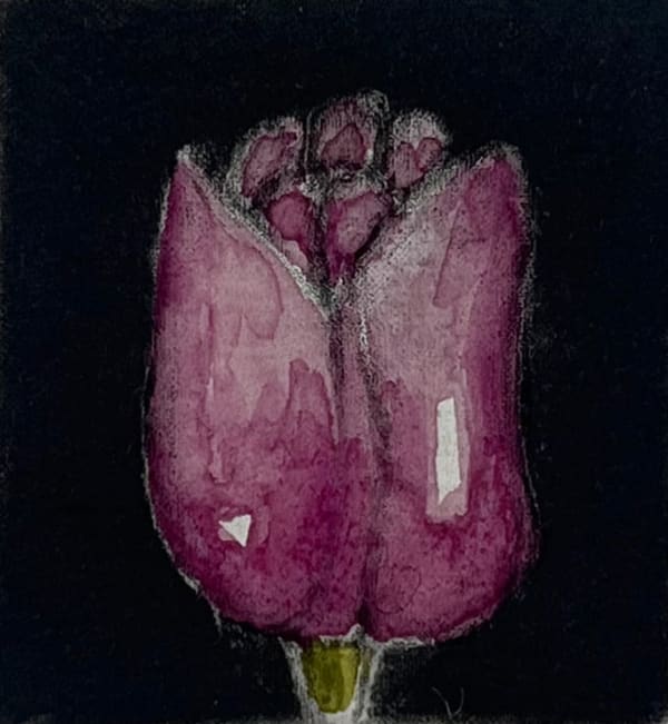 Martin Napier, Tulip III