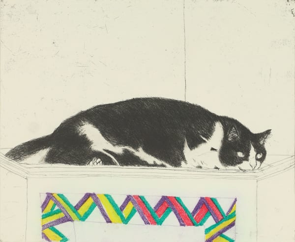 Elizabeth Blackadder, Fred on Top of the Cupboard, 2003