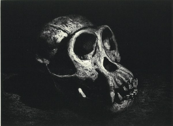 Ken Currie, Pan Troglodytes, 2015