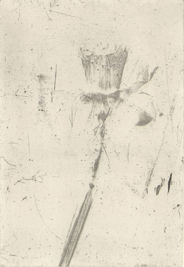 Mary T. Johnson - Daffodil, 2025