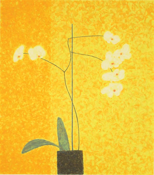 Abigail McLellan - Moth Orchid, 1999