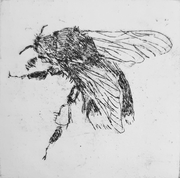Jane Gardiner, One Bee (Makes a Summer), 2022