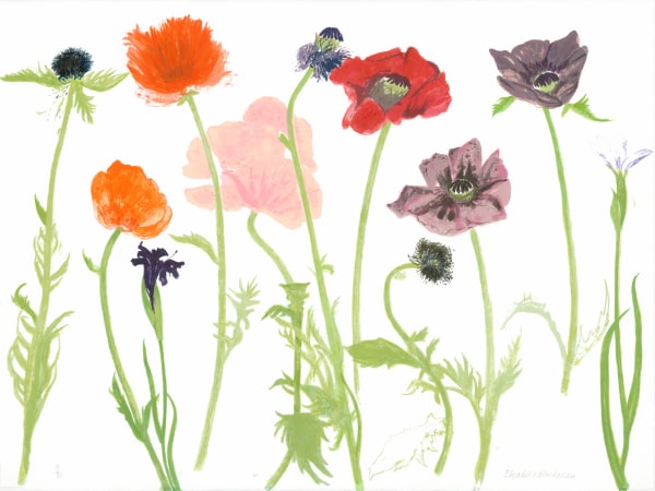 Elizabeth Blackadder, Oriental Poppies, 2010