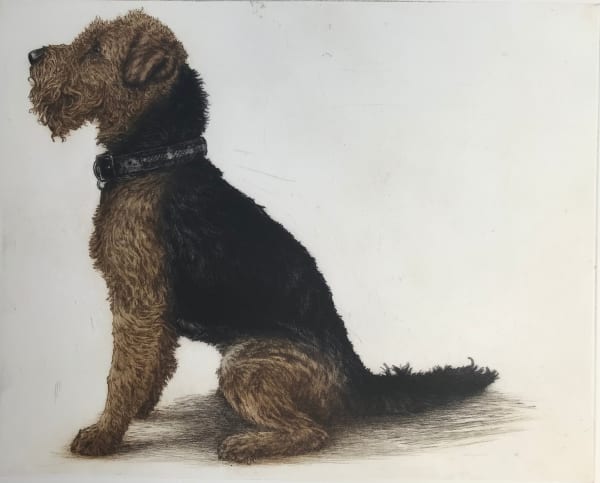 Helen Fay, Friday, 2025