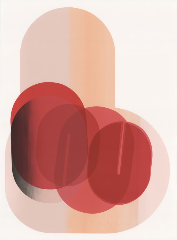 Claire Barclay, Thinskins, 2024-25
