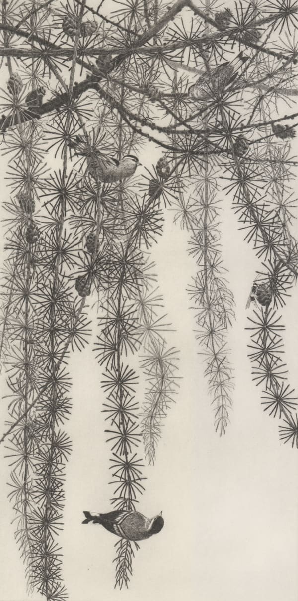 Chris Allan, Larch with Siskins: State II, 2019