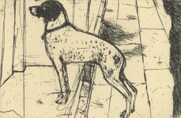 Elizabeth Blackadder, Venice Dog, 2013