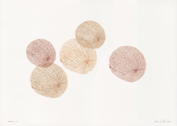 Hanne Lillee, Peridium, 2022