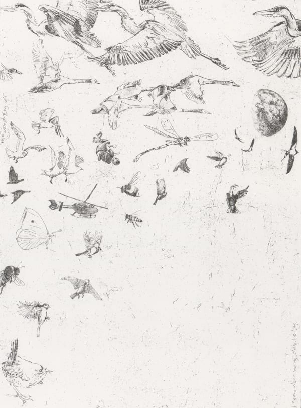 Jane Gardiner, Suspended in the Sky, 2022