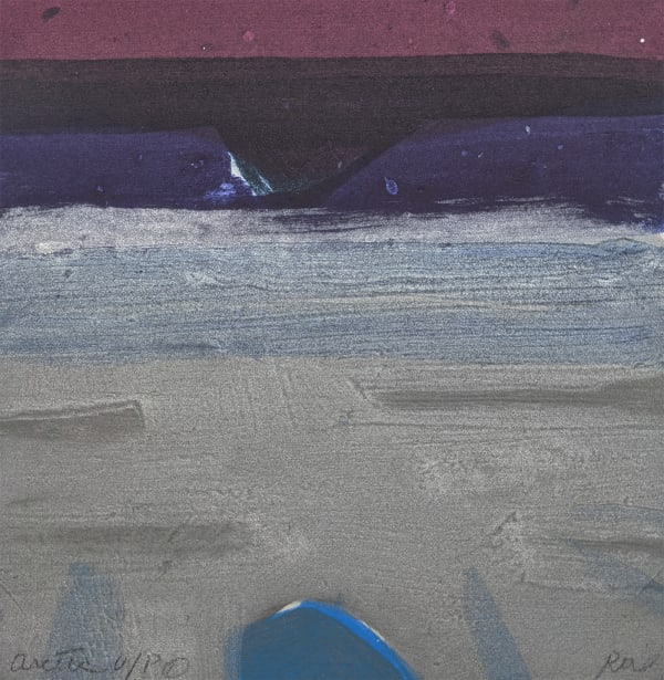 Barbara Rae, Arctic, 2019