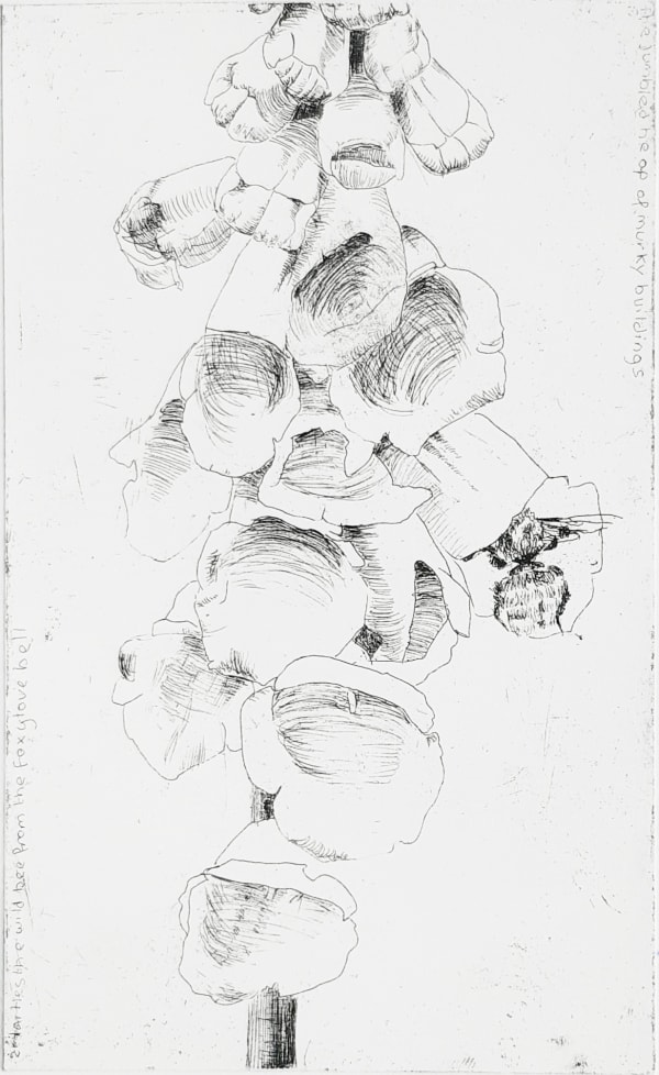 Jane Gardiner, The Foxglove, 2022