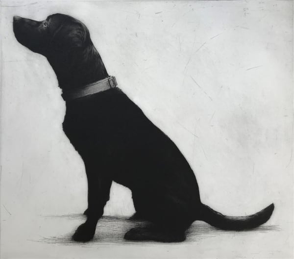 Helen Fay, Arthur, 2019
