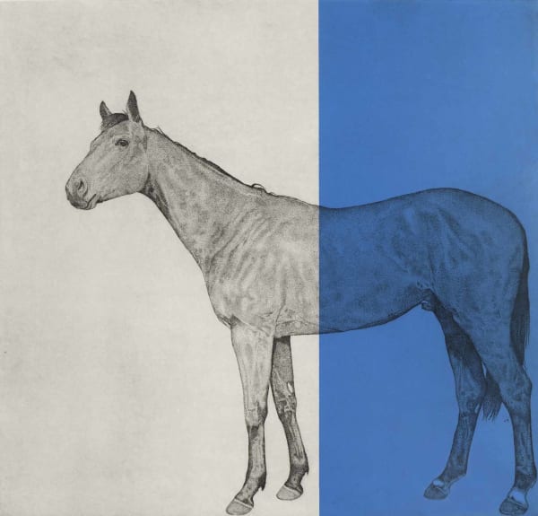 Guy Allen, Horse Study Blue