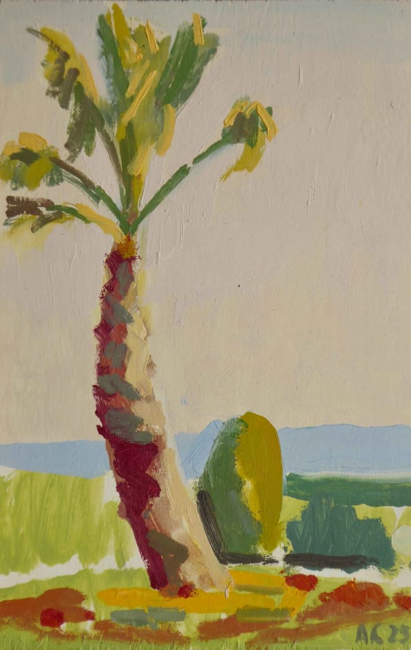 Alex Cree, Palm Tree