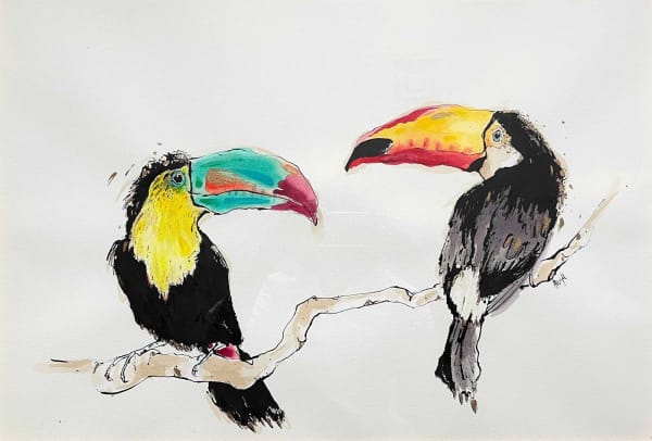 Anna Wright, Toucan Do It