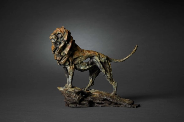 Fred Gordon, Lion