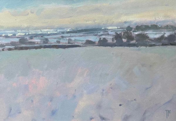 Tom Stevenson, Snow, edge of Exmoor
