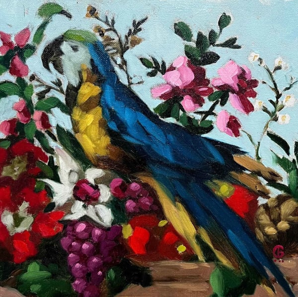 Georgia Fiennes, Grecian Parrot