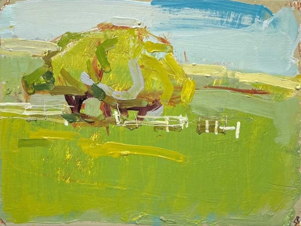 Stephen Palmer, Tree, South Downs