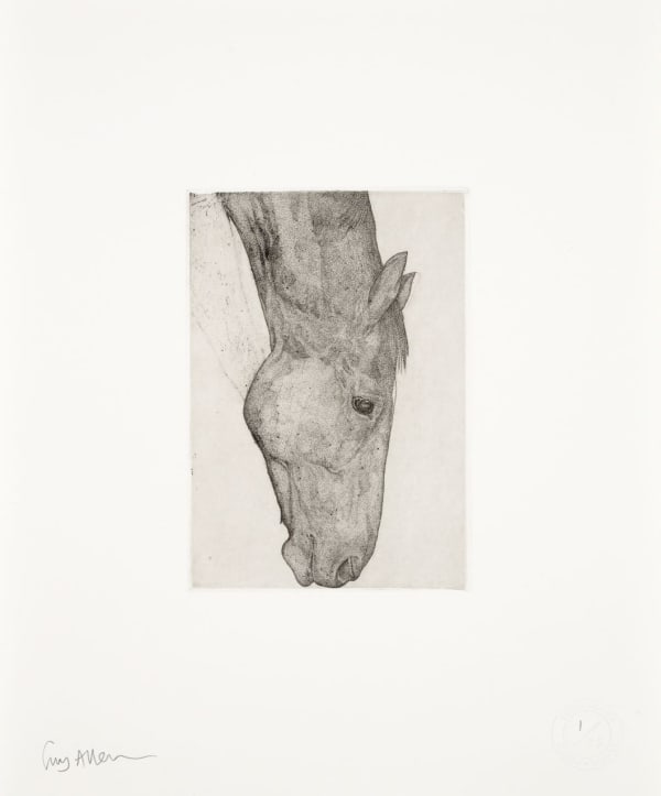 Guy Allen, Grazing Horse Study