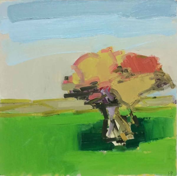 Stephen Palmer, Hawthorn, South Downs