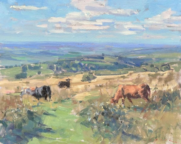 Maria Rose, Exmoor Cattle